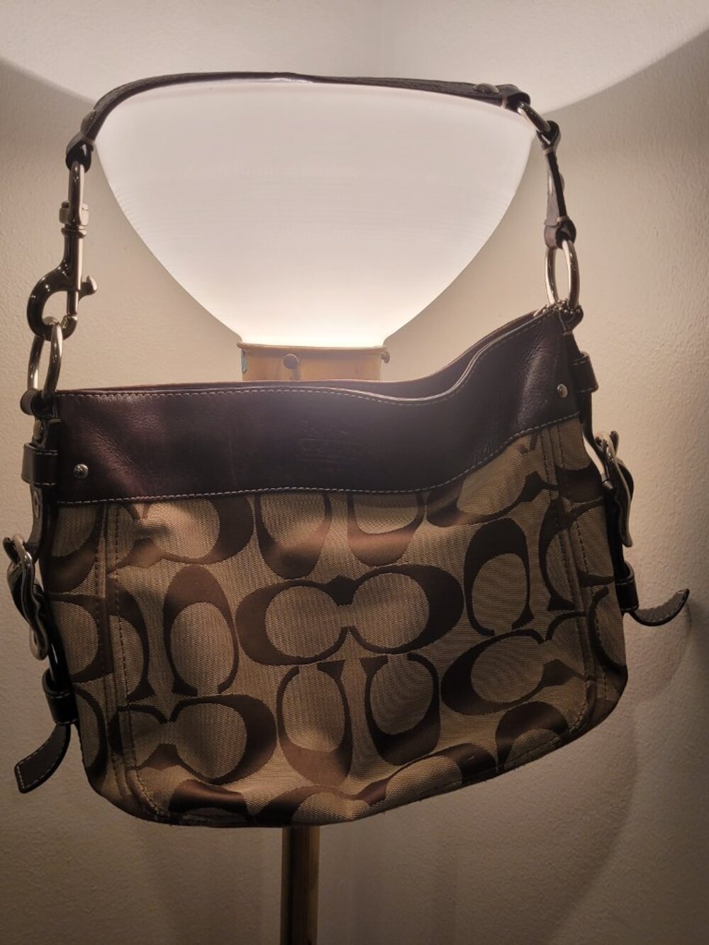 Coach Zoe Shoulder Hobo Bag (M1049-F12657)